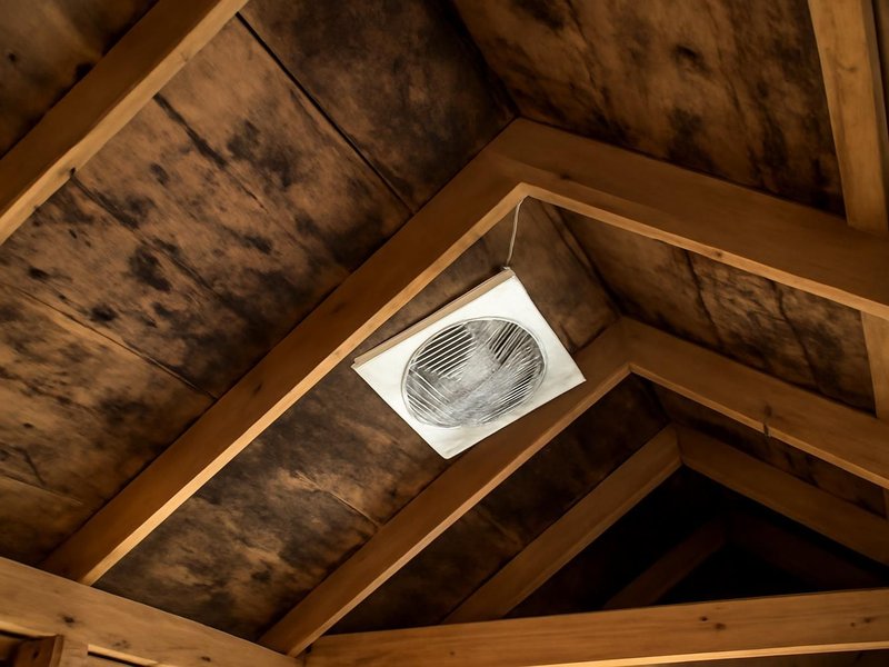 Before: attic roof sheathing dark with mold from a bath fan venting inside