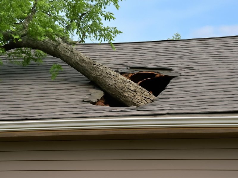 Tree limb through the roof