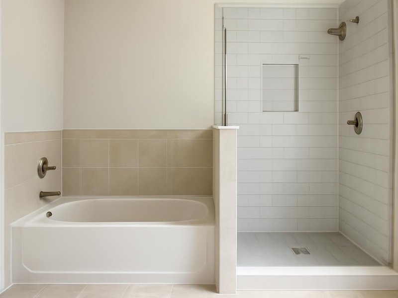 AI concept: Existing condition: deep tub a parent could no longer step into